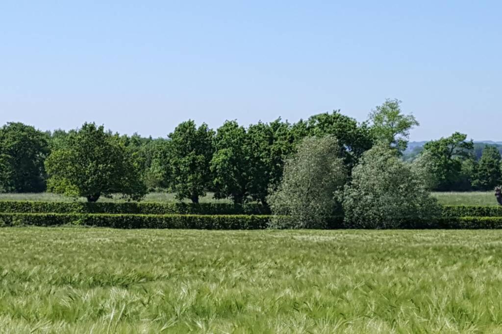 Gite Du Bocage Buysscheure Bagian luar foto